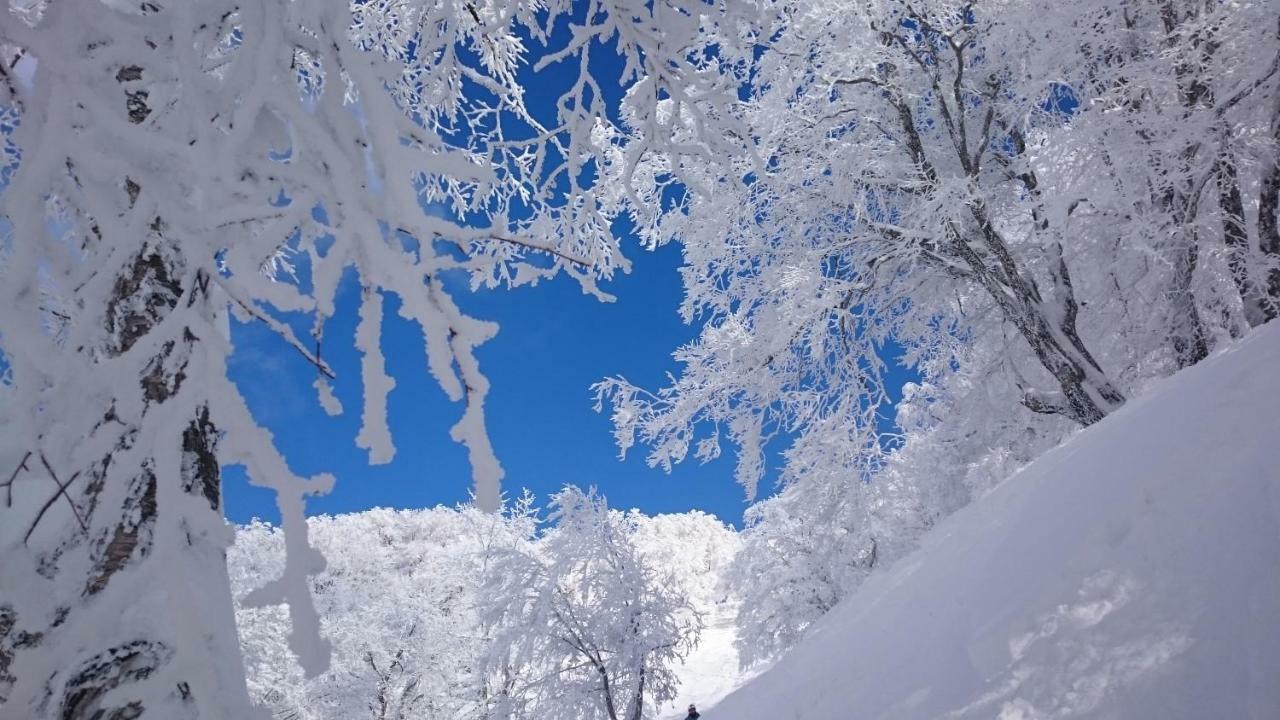Nozawa Dream Central Nozawaonsen Exterior foto