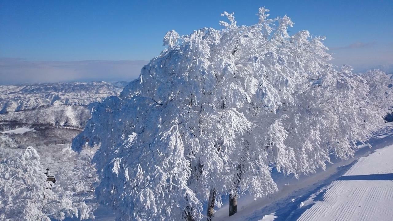 Nozawa Dream Central Nozawaonsen Exterior foto